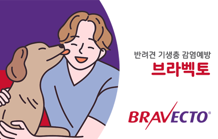 브라벡토